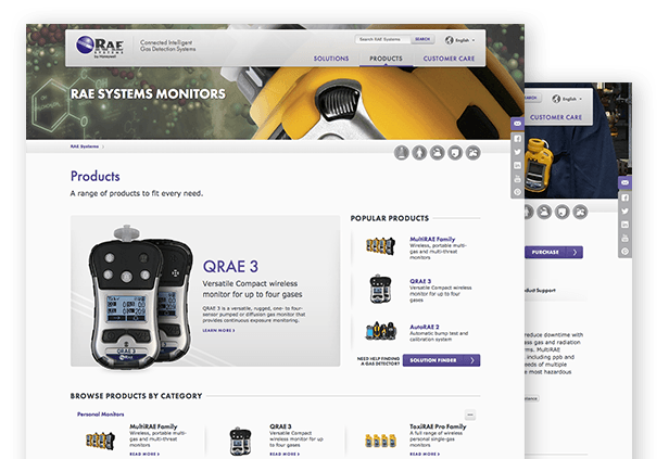 rae systems webpage
