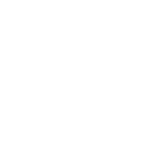 developers