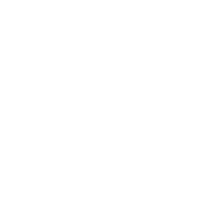 strategists